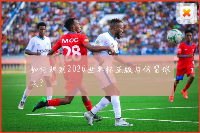 如何辨别2026世界杯正版与仿冒球衣?