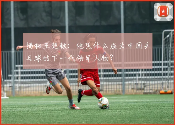 揭秘王楚钦：他凭什么成为中国乒乓球的下一代领军人物？