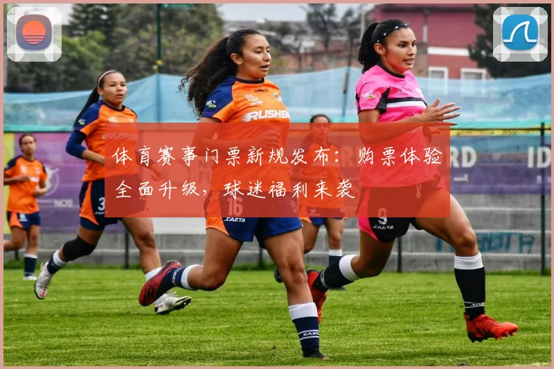体育赛事门票新规发布:购票体验全面升级,球迷福利来袭